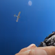 A man films himself falling through the sky using a selfie stick. A plane is visible above.